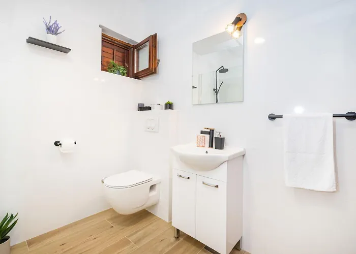 Mari 노비그래드달마샤